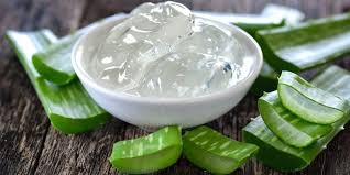 Clinical research suggests topical application of aloe gel may speed burn healing. 12 Manfaat Aloe Vera Gel Untuk Wajah Dan Rambut Yang Ajaib