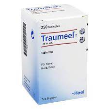 Traumeel Must Have Auch In Der Hundeapotheke