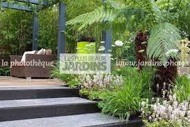 la phototheque les plus beaux jardins massif de vivaces tiarella spp hakonechloa macra aureola cen les plus beaux jardins photo jardin jardin massif