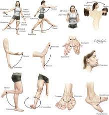 Anatomical Movements Human Body Anatomy Yoga Anatomy Human Anatomy And Physiology