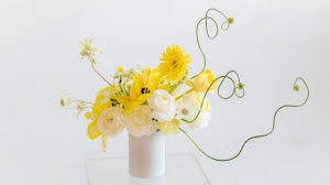 We did not find results for: Star Wholesale Florist Dallas Tx 08 2021