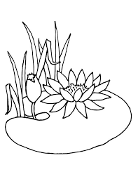 Plus, it's an easy way to celebrate each season or special holidays. Lotus Flower Is Not Water Lily Coloring Page Kids Play Color