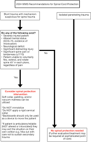 Wilderness Medical Society Clinical Practice Guidelines for Spinal Cord  Protection: 2024 Update