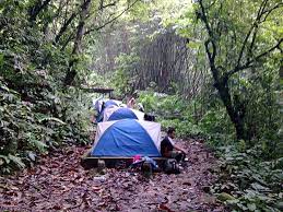 Things to do near gunung nuang. Camping At Gunung Nuang Selangor Malaysia Gokayu Your Travel Guide