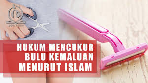 Bakteri, virus, atau jamur bisa masuk dari peratalan bercukur yang tidak. Mencukur Bulu Kemaluan Menurut Islam Boleh Atau Tidak Ini Hukumnya Youtube