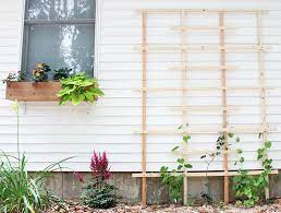 Dig a hole large enough to set the plant in place and to include adequate plant food and nutritional supplements for the plant. How To Build A Garden Trellis From Start To Finish