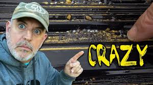 Fine Gold Prospecting Big Giveaway Youtube