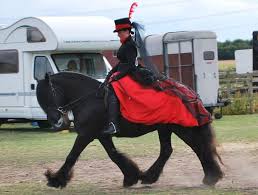 Concours D Elegance Horse Gossip Horses Horse Rider Horse Costumes