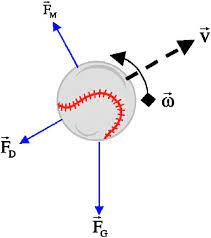 Forces On A Spinning Baseball In Flight The Drag Force F D Acts In The Download Scientific Diagram