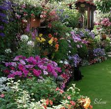 Garden Flowers Its A Green Life Cottage Garden Design Beautiful Gardens Cottage Garden