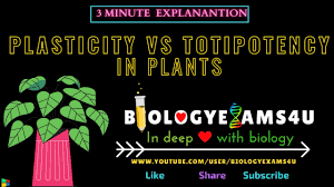 We did not find results for: Multiple Choice Quiz On Plant Tissue Culture