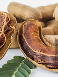 Image result for Tamarindus