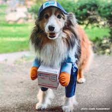 Dog person or cat person? 🐶 🐱 No...