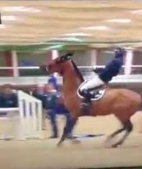 Embellished with the brand logo penelope leprevost on the inner and outer faces of the calf, penelope socks are worn in competition as in training. Penelope Leprevost Issues Apology For Gothenburg Warm Up Horse Nation
