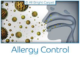 Williams street from angi members or join today to leave your own review. Allbright Carpet 20 Off All Cleaning Brooklyn
