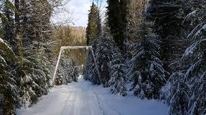 Find location, trail maps and piste maps covering the mountains 82m of vertical range and surrounding area. Ski Stana De Vale