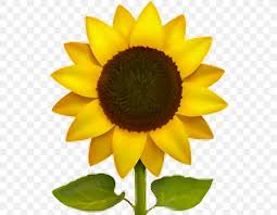 The Best Sunflower Iphone Emoji Png And Review In 2020 Sunflower Wallpaper Emoji Flower Flower Wallpaper
