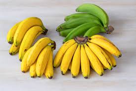 Image result for Musa paradisiaca