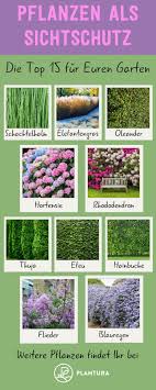 Pflanzen Als Sichtschutz Unsere Top 15 Fur Garten Balkon Blog For Pinterest Balcony Plants Garden Types Outdoor Plants