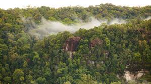 When flying to malaysia, you can see three islands, which in their location resemble a smiling face. 15 Fun Facts About Malaysia That Will Get You All Excited Expatgo