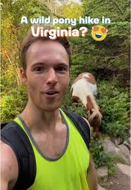 Virginia Hike