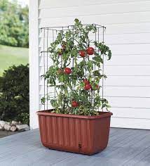 A popular way to garden in small spaces is to use pots and containers. Self Watering Tomato Planter And Rust Resistant Tower Plowhearth