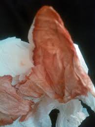 Image result for Kim Lapointe rev 12 Sarah Connor