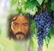 We Pray For Our Sick We Pray For Our Dead And We Mourn With You