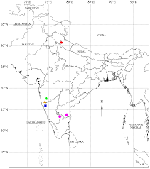 Image result for Barleria grandipetala