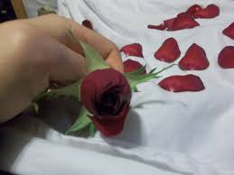 • only fill jar 1/3 to 1/2 with fresh roots, barks, or berries. Metal Rose 12 Steps With Pictures Instructables