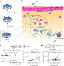 Corect se sccrie cati mai multi kilometri. Https Onlinelibrary Wiley Com Doi Pdf 10 1002 Adma 201901633