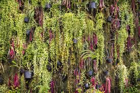 Beruhmte Hangende Garten In Der Geschichte Und Heute