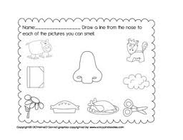 My 5 Senses Smelling Worksheet Freebie Senses Preschool Five Senses Worksheet Kindergarten Science Activities