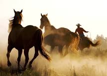MFTHBA Spring Show Trail Ride