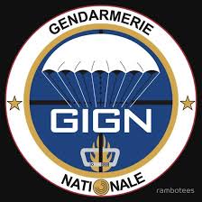 Gign France Special Forces Essential T Shirt By Rambotees Special Forces Logo Special Forces Finding Yourself
