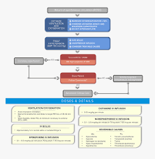 Because recovery from cardiac arrest continues long after the initial hospitalization, patients should have formal assessment and support for their physical, cognitive, and psychosocial needs. Post Cardiac Arrest Care Acls Algorithm Basic Life Support Algorithm 2019 Hd Png Download Kindpng
