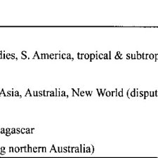 Image result for Anisosepalum alboviolaceum