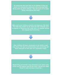 Fossil Formation Earthandspace101