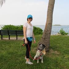 After that, you will receive applications from pet sitters nearby who are interested in your job. Swifto Blog Swifto Dog Walking In Nyc And Miami