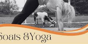 Goats & Yoga