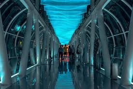Required investment appraisal• support finance manager to produce business cases and. More Singapore Bankers To Work For Billionaires As Family Offices Thrive Efinancialcareers