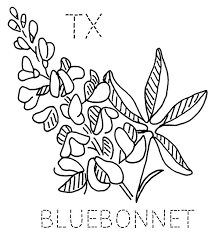 With online printable coloring pages you never have to keep volumes of coloring books around. Blue Bonnets Cliparts Cliparts Zone