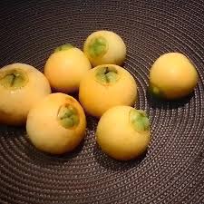Image result for Syzygium jambos