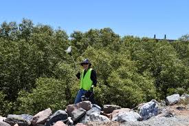 A whopping 2996 pieces of litter weighing 165kg was removed from our  neighbourhood after Port staff and customers joined together to participate  in our annual Clean Up Australia Day event this morning.