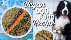 All these recipes are vegan and take between 5 and 25 minutes to prepare. What We Feed Our Dog Homemade Vegan Dog Food Recipe Youtube