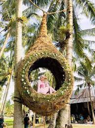 Laut ada, hutan ada, bukit pun ada. Penang Kini Menarik Dan Kreatif Lokasi Terbaru Tarikan Facebook