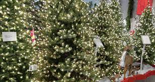 Neuman Trees The Best Artificial Christmas Trees Aldik Home