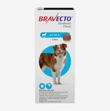 Puppy wishes you a happy independence day 🇨🇷. Best Tick Treatment For Dogs 2020 The Strategist New York Magazine