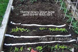 17 Clever Vegetable Garden Hacks Gardening Tips Vegetable Garden Seed Tape