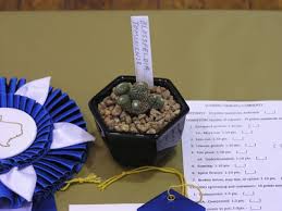 Www.cssma.org the cssm is an affiliate club of the cactus and succulent society of america. Houston Cactus And Succulent Society